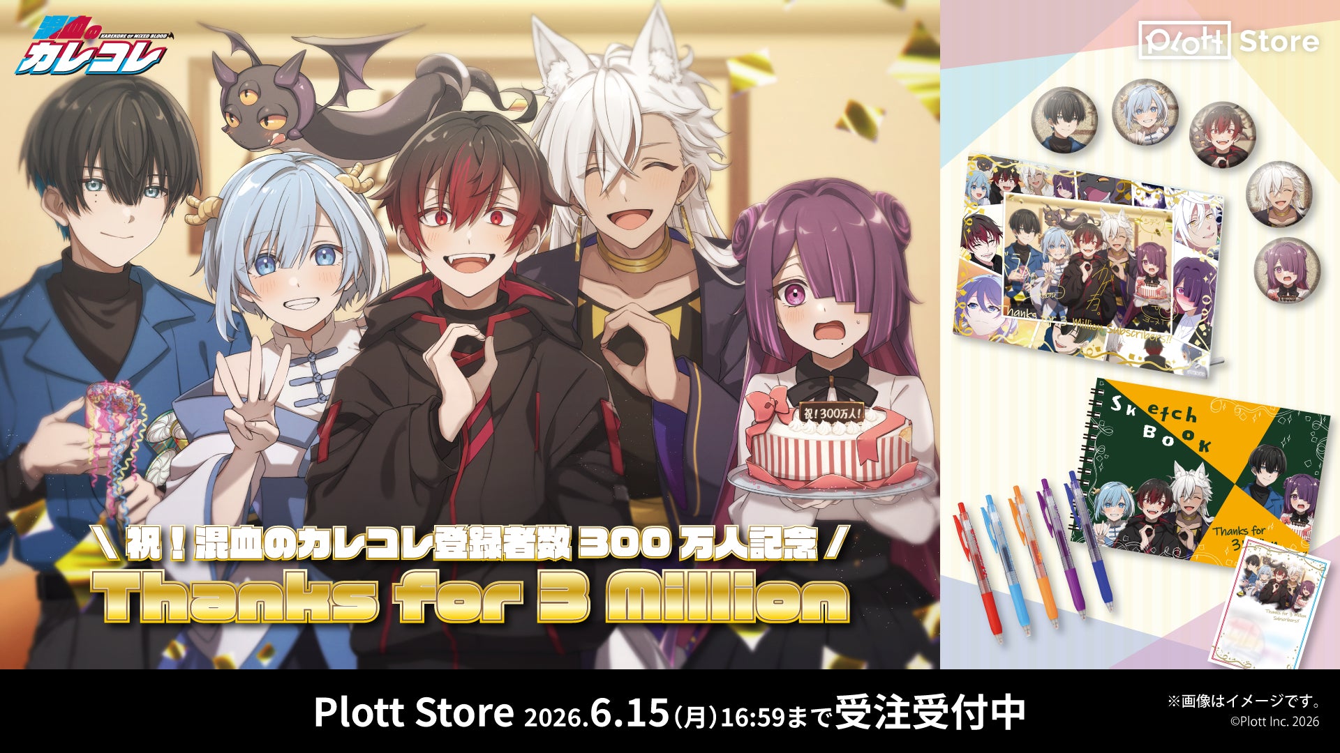 Plott Store