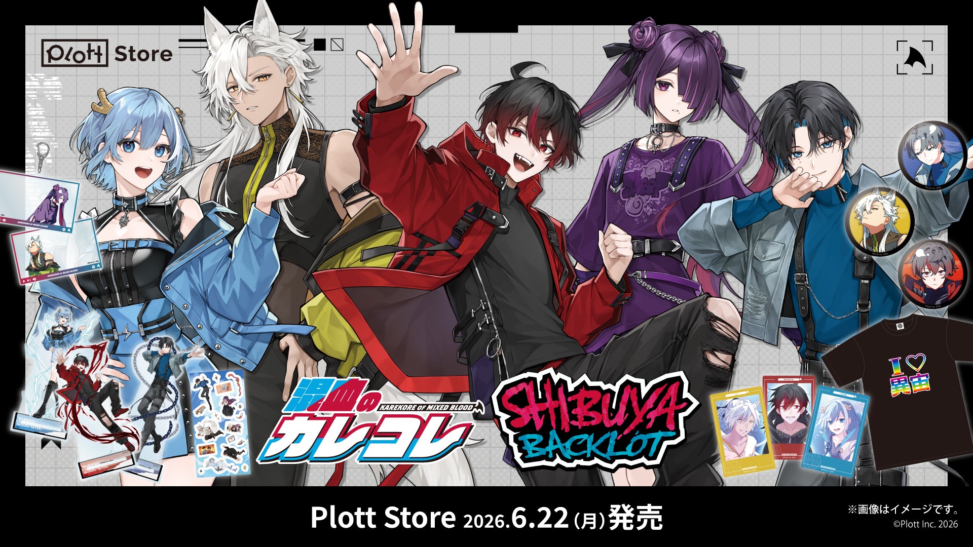 Plott Store